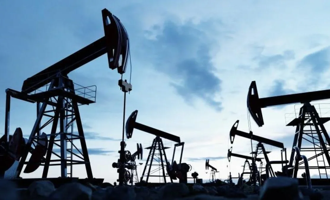 1008.webp