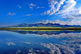101.webp