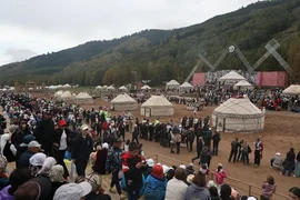 105.webp