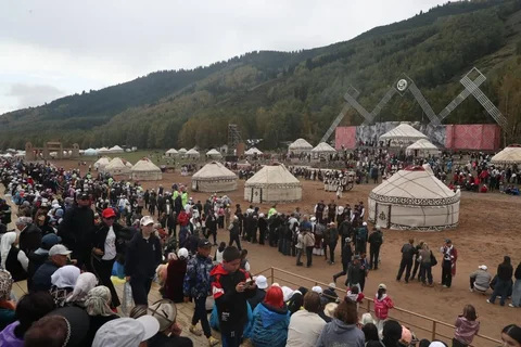 105.webp