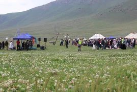 1068.webp