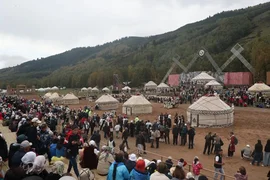 106.webp