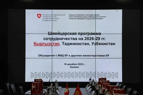 106.webp