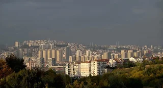 109.webp