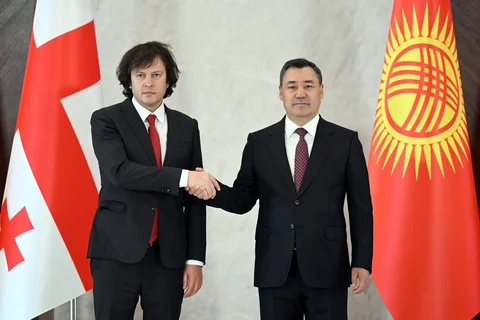 113.webp