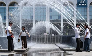 117.webp