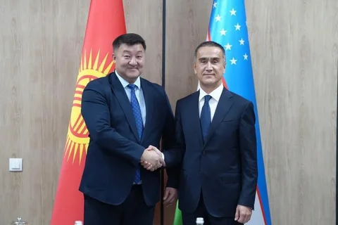 117.webp