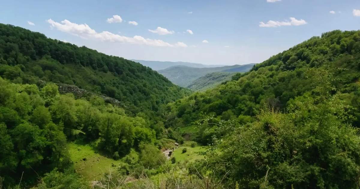 غابات قرغيزستان تغطي أكثر من 1.2 مليون هكتار