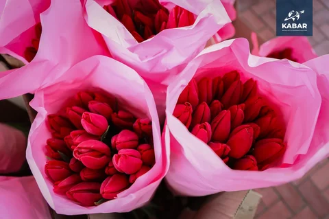 131.webp