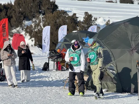 136.webp