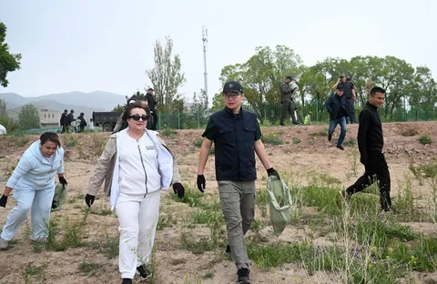 138.webp