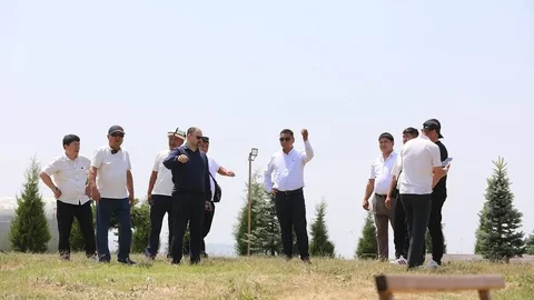 144.webp