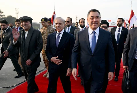145.jpg