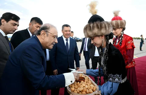 146.webp