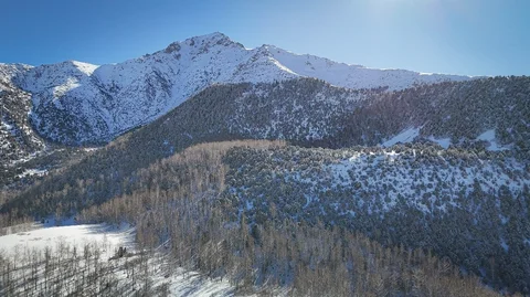 149.jpg
