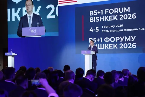 151.webp