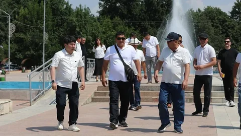 154.webp