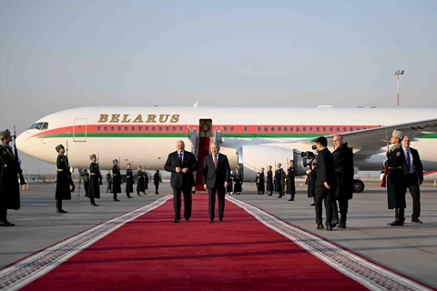 156.webp