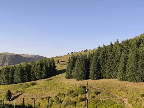 160.webp