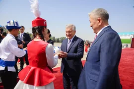 161.webp