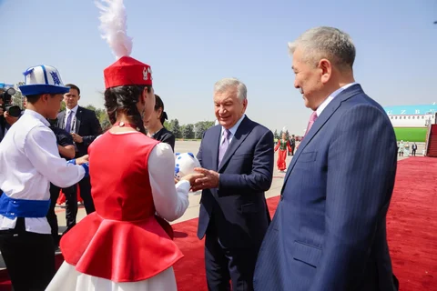 161.webp