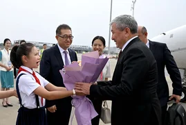 167.webp