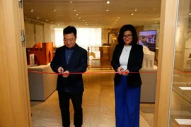 16.webp