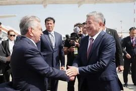 170.webp