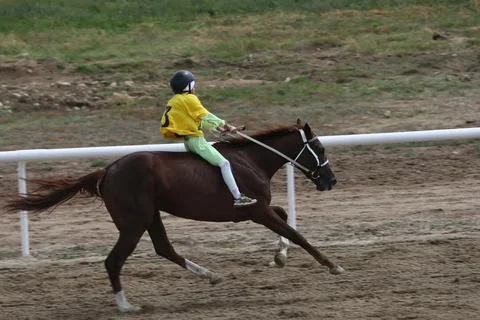 170.webp