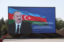 173.webp