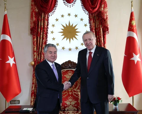 173.jpg