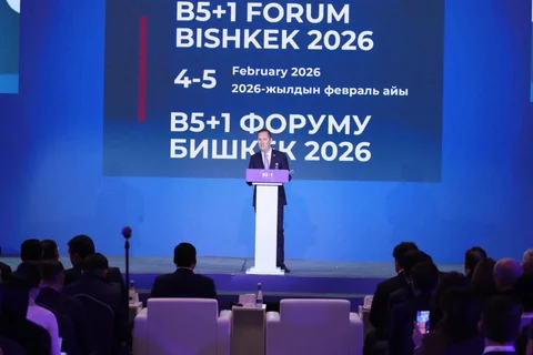 174.webp
