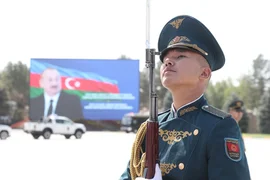 174.webp