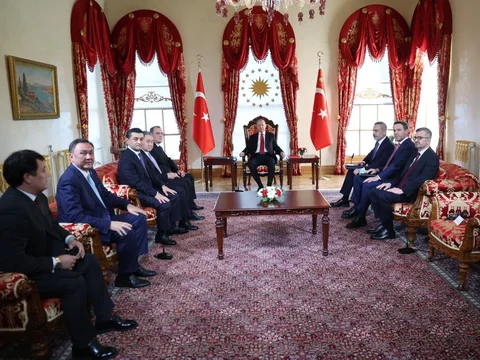 174.webp