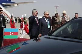 175.webp
