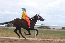 179.webp