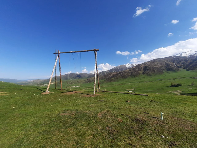 181.webp