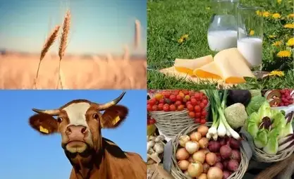 توسّع ملحوظ في صادرات الجمهورية القرغيزية نحو أسواق عالمية جديدة
