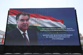 186.webp