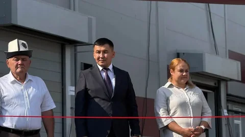 187.webp
