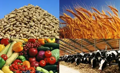 تطوير المجمع الزراعي الصناعي: أبرز إنجازات عام 2025