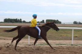190.webp
