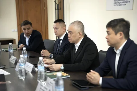 195.webp