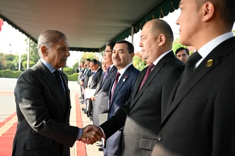 198.webp