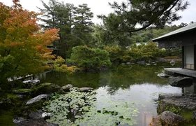 19.webp