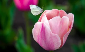 202.webp
