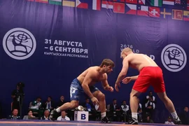 204.webp
