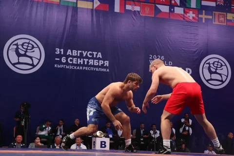 204.webp