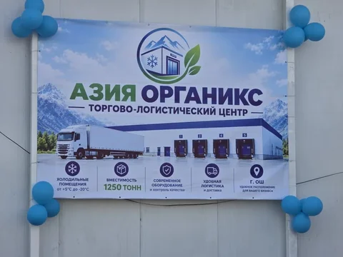 206.webp