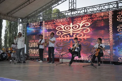 210.webp